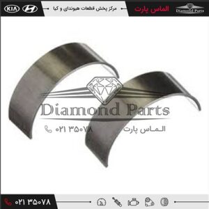 یاتاقان ثابت استاندارد آبی 210203F301