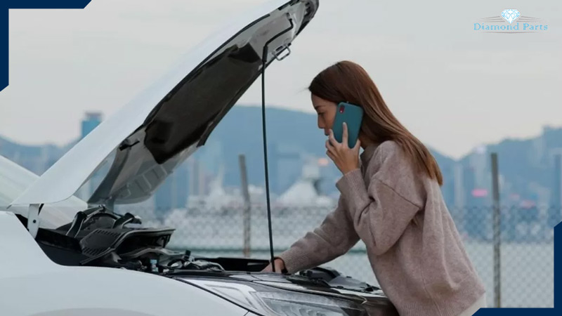 یک زن با لباس قهوه ای که در حال تماس با تعمیر کار خودرو است.